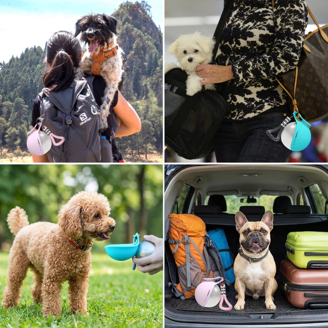 LumaCraft™ | Portable 2-in-1 Dog Water Bottle