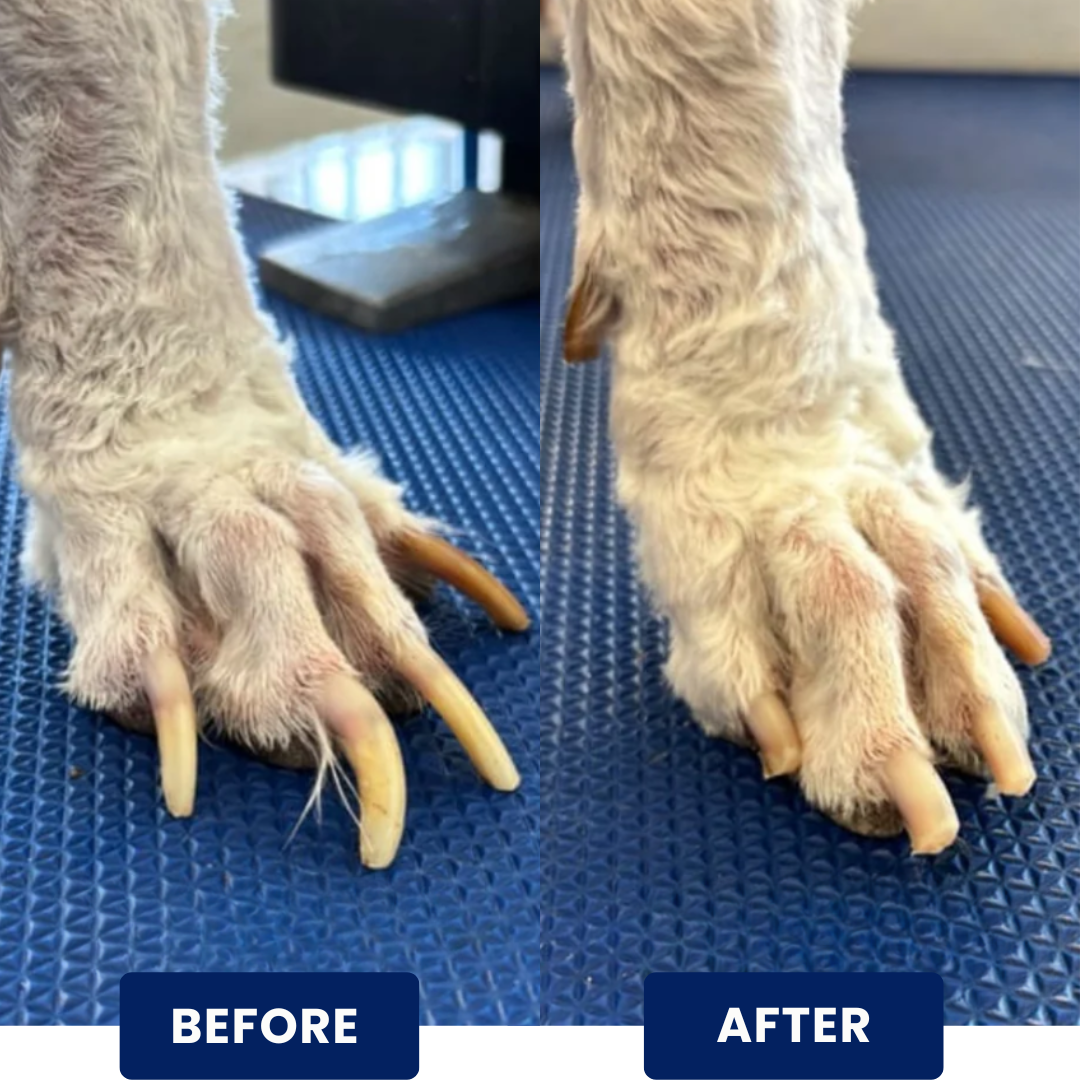 LumaCraft™ | Stress-Free Nail Care Board